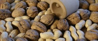 Какие орехи полезны для мужчин