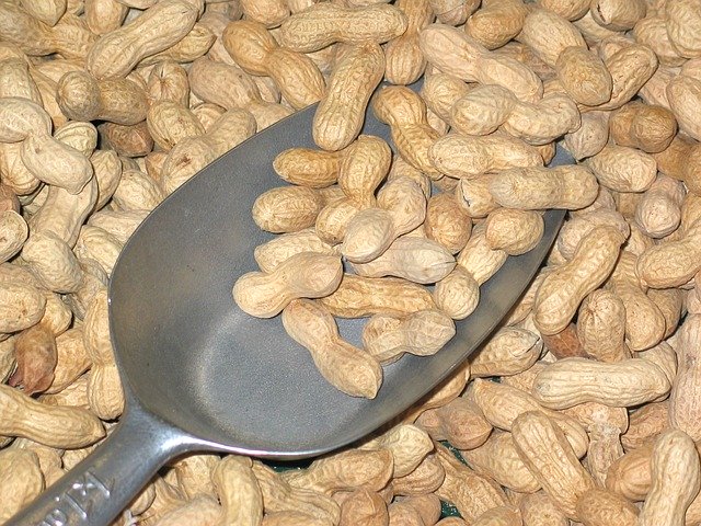 полезные свойстваа арахиса