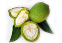 полезные свойства зеленого грецкого ореха